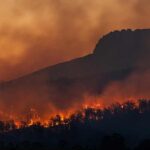 L'importanza del rispetto dell'ambiente