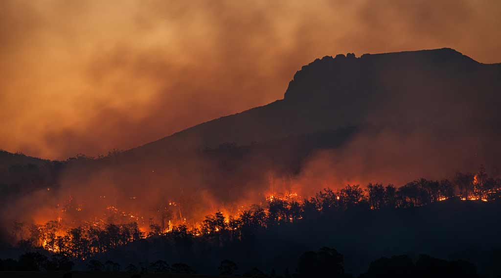 L'importanza del rispetto dell'ambiente